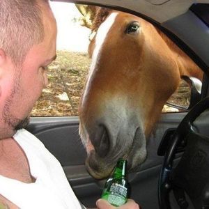 Meet your Posher, Frank